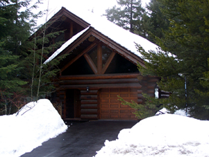 image of log home before